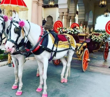 Wedding at The Zenana Mahal